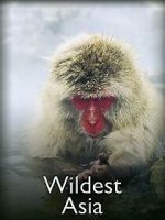 Watch Wildest Asia 9Movies