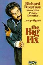 Watch The Big Fix 9Movies