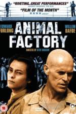 Watch Animal Factory 9Movies