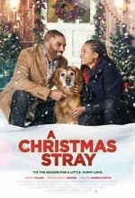 Watch A Christmas Stray 9Movies