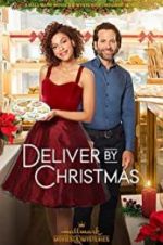 Watch Deliver by Christmas 9Movies