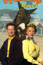 Watch Francis Goes to the Races 9Movies