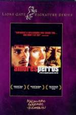 Watch Amores perros 9Movies