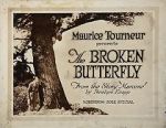 Watch The Broken Butterfly 9Movies