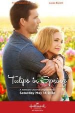 Watch Tulips in Spring 9Movies
