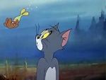 Watch The Cat and the Mermouse 9Movies