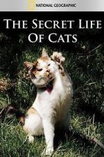 Watch The Secret Life of Cats 9Movies