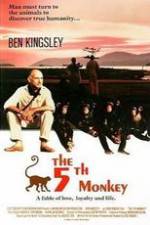 Watch O Quinto Macaco 9Movies