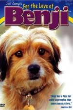 Watch For the Love of Benji 9Movies