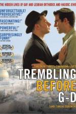 Watch Trembling Before G-d 9Movies