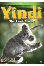 Watch Yindi the Last Koala 9Movies