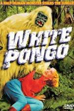 Watch White Pongo 9Movies