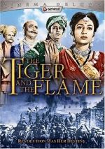 Watch Jhansi Ki Rani 9Movies