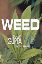 Watch CNN Weed Sanjay Gupta Report 9Movies