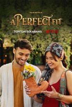 Watch A Perfect Fit 9Movies