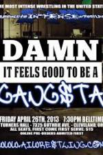 Watch AIW Damn It Feels Good To Be A Gangsta 9Movies