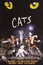 Watch Cats 9Movies