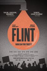 Watch Flint 9Movies