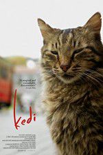 Watch Kedi 9Movies
