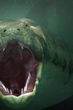 Watch The World's Largest Snake 9Movies