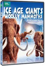 Watch Woolly Mammoth: Secrets from the Ice 9Movies