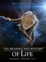 Watch The Meaning and Mystery of Life 9Movies