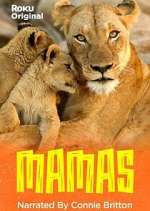 Watch Mamas 9Movies