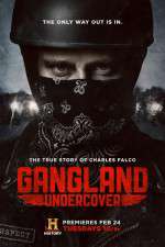 Watch Gangland Undercover 9Movies