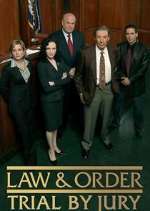 Watch Law & Order: Trial by Jury 9Movies