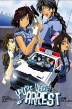 Watch You're Under Arrest 9Movies
