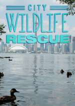 Watch City Wildlife Rescue 9Movies