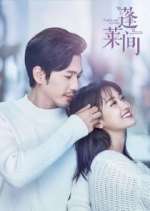 Watch Fairyland Lovers 9Movies