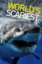 Watch World's Scariest... 9Movies