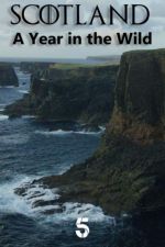 Watch Scotland: A Wild Year 9Movies