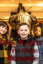 Watch One Night in the Museum 9Movies