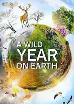 Watch A Wild Year on Earth 9Movies