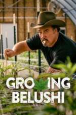 Watch Growing Belushi 9Movies