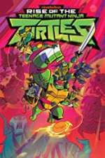 Watch Rise of the Teenage Mutant Ninja Turtles 9Movies