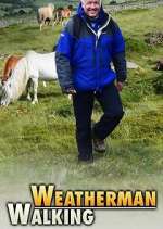 Watch Weatherman Walking 9Movies