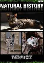 Watch Pets in the Wild 9Movies