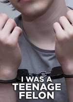 Watch I Was a Teenage Felon 9Movies