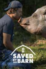 Watch Saved by the Barn 9Movies