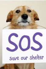 Watch Save Our Shelter 9Movies