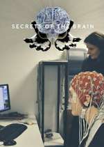 Watch Secrets of the Brain 9Movies