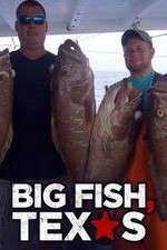 Watch Big Fish Texas 9Movies