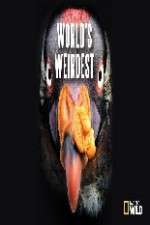 Watch National Geographic Worlds weirdest 9Movies