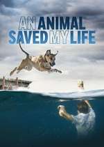 Watch An Animal Saved My Life 9Movies