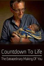 Watch Countdown to Life The Extraordinary Making of You 9Movies