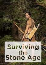 Watch Surviving the Stone Age 9Movies