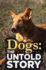 Watch Dogs: The Untold Story 9Movies